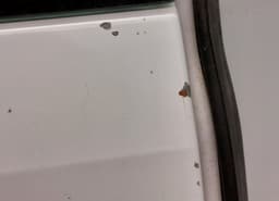 FORD PBK21-V40011-BC 2404597 Rear Panel Door Left FORD TRANSIT / TOURNEO CUSTOM I (2012-) — thumbnail 4