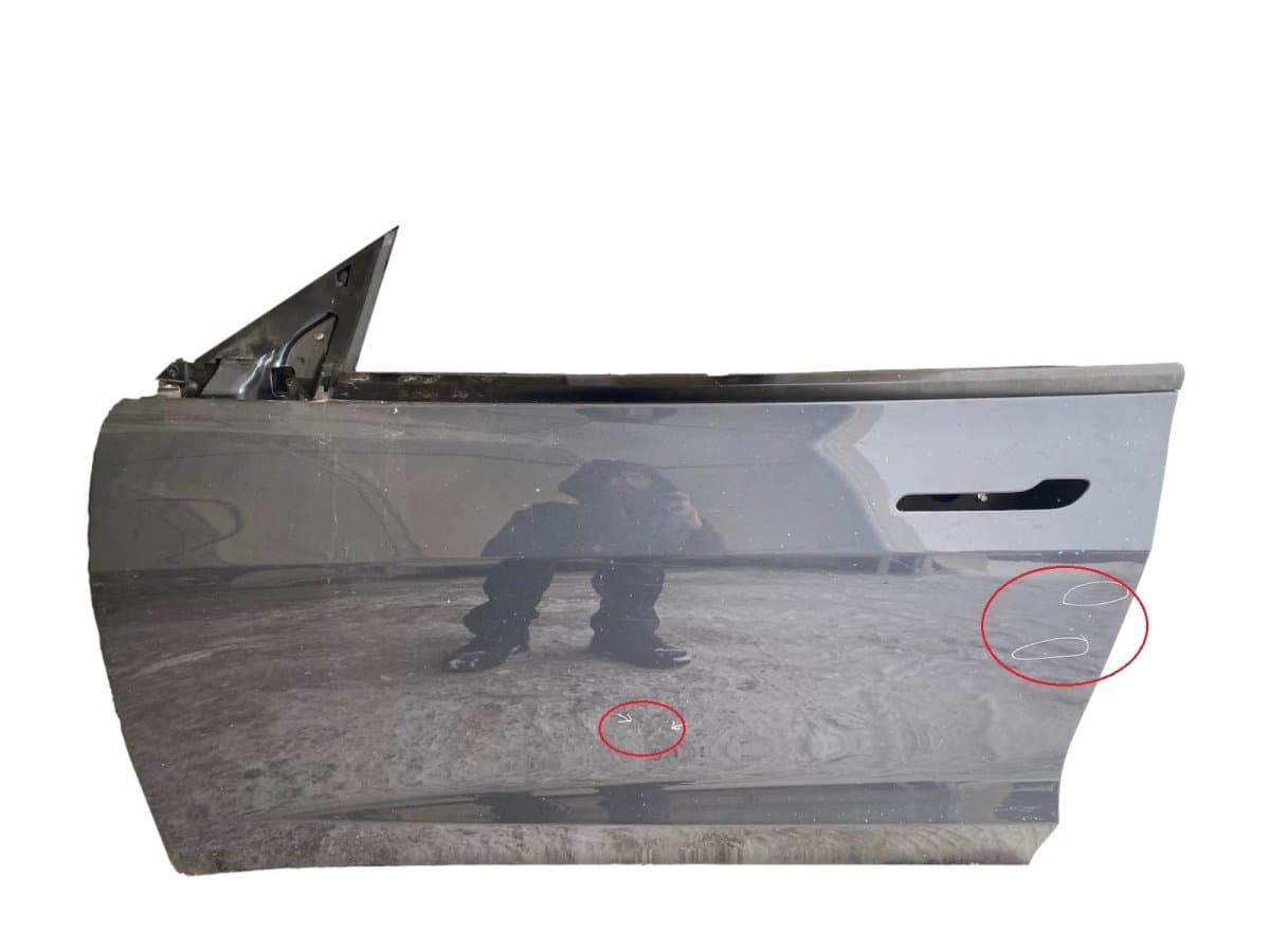 1081421E0C Door Front Left TESLA MODEL 3 (2017-)