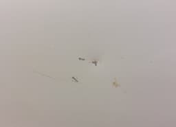 DACIA 801111564R Door Front Left DACIA DOKKER (2012-2021) — thumbnail 2