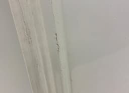 RENAULT 901003757R Rear Panel Door Right RENAULT KANGOO I (FC,KC) (1997-2008) — thumbnail 3