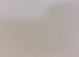 FIAT 52011900 Door Front Left FIAT 500 (312) (2007-) — thumbnail 5