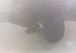 TOYOTA 670040D210 Door Rear Left TOYOTA YARIS III (XP150) (2013-) — thumbnail 2