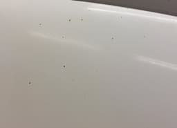 FORD PBK21-A16612-AC PBK21A16612AC 1846029 Bonnet FORD TRANSIT / TOURNEO CUSTOM I (2012-) — thumbnail 3