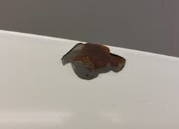 FIAT 51883012 Bonnet FIAT 500L (351, 352) (2012-2022) — thumbnail 4
