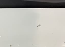 GMC Door Front Right GMC SAVANA 1500 [USA] (2002-) — thumbnail 2