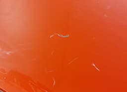 AUDI 8X3827023 Bootlid / tailgate AUDI A1 (8X1, 8XK, 8XA, 8XF) (2010-2018) — thumbnail 4