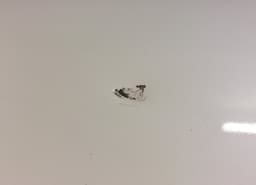 BMW 51127427621 Rear bumper BMW 7 (G11, G12) (2015-2022) — thumbnail 6