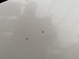 KIA 66400D4000 Bonnet KIA OPTIMA IV (JF) (2015-2020) — thumbnail 3