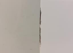 FORD DM5Z5824630B Door Rear Right FORD C-MAX II (2010-2019) — thumbnail 2