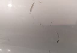 MERCEDES-BENZ Door Front Right MERCEDES-BENZ SLK (R171) (2004-2011) — thumbnail 2