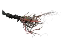 BENTLEY 2020 COUPE BENTLEY CONTINENTAL GT 18-24 3S 3SD Wiring Loom MAIN RHD — thumbnail 4