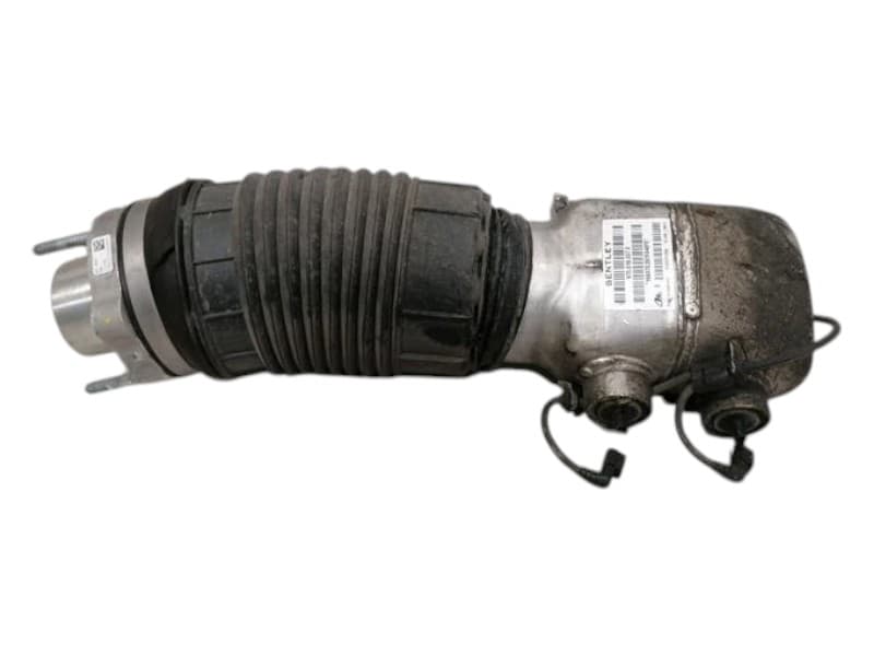 BENTLEY BENTLEY CONTINENTAL GT Shock Absorber Front 975616037E