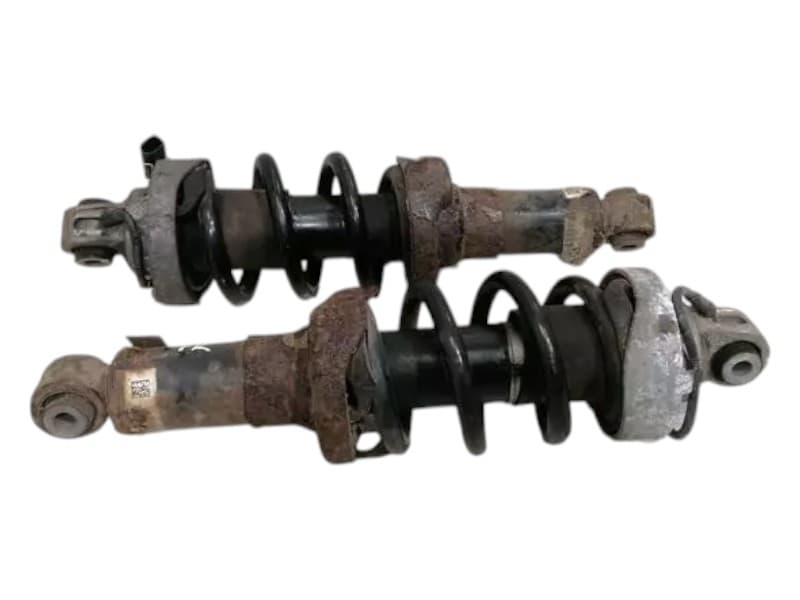 AUDI AUDI R8 TYPE 42 V10 Shock Absorber Front 420412020AF
