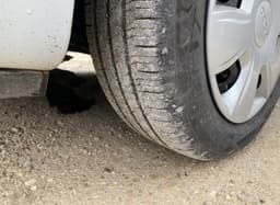DACIA Rim set With Tyres 4 pcs DACIA LODGY (2012-2022) — thumbnail 3
