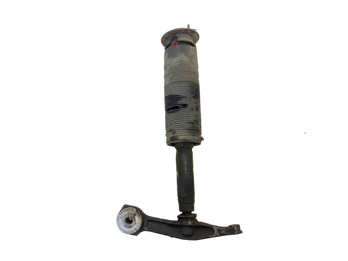 MERCEDES-BENZ 162400102509 Shock Absorber Front Left MERCEDES-BENZ S-CLASS Coupe (C215) (1999-2006)