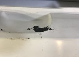 RENAULT Rear bumper RENAULT TWINGO II (2007-2014) — thumbnail 4