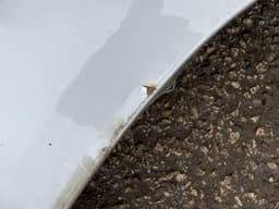 FORD 1729172 Fender Front Right FORD RANGER III (TKE, PX) (2011-2023) — thumbnail 6