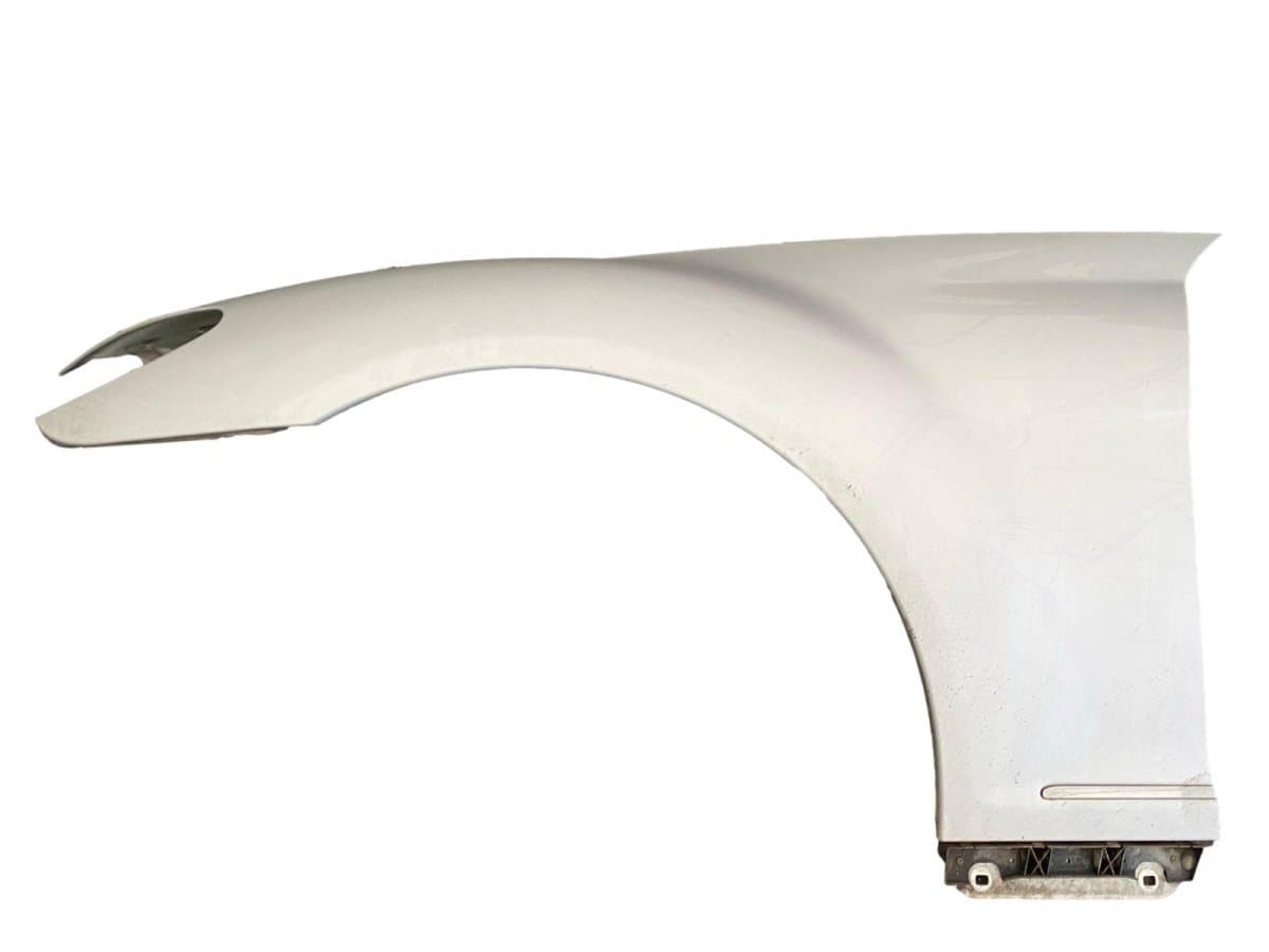 A2168800118 Fender Front Left MERCEDES-BENZ S-CLASS Coupe (C216) (2006-2013)