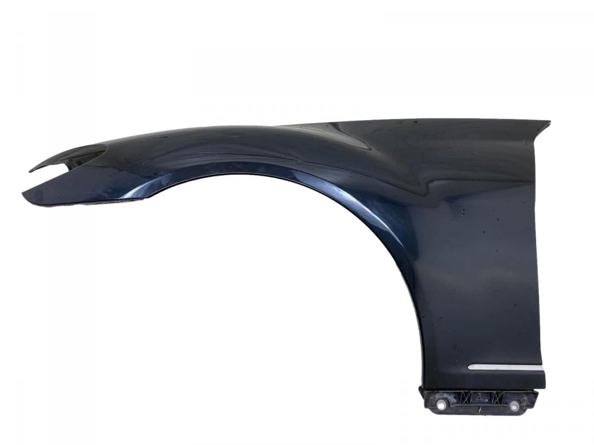 MERCEDES-BENZ A2168800118 Fender Front Left MERCEDES-BENZ S-CLASS Coupe (C216) (2006-2013)