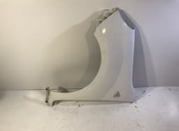 RENAULT Fender Front Left RENAULT KANGOO II (FW, KW) (2008-2021) — thumbnail 1