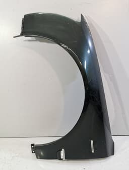 AUDI Fender Front Left AUDI A8 (4E) (2002-2010) — thumbnail 1