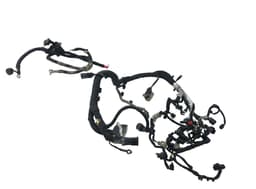 FORD 2348866 Engine wiring harness FORD TRANSIT / TOURNEO CUSTOM I (2012-) — thumbnail 1