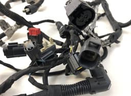 FORD 2348866 Engine wiring harness FORD TRANSIT / TOURNEO CUSTOM I (2012-) — thumbnail 3