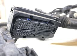 LEXUS 8212133F10 Engine wiring harness LEXUS ES VII (2018-) — thumbnail 2