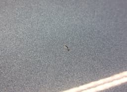 KIA 770041P000 Door Rear Right KIA VENGA (YN) (2010-2019) — thumbnail 9
