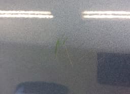 KIA 770041P000 Door Rear Right KIA VENGA (YN) (2010-2019) — thumbnail 5