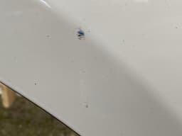 LAND ROVER LR044228 Door Rear Right LAND ROVER RANGE ROVER SPORT II (L494) (2013-2022) — thumbnail 3