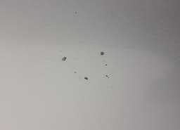 HONDA 67510SJA900ZZ Door Rear Right HONDA LEGEND IV (KB) (2004-2012) — thumbnail 2