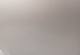 NISSAN Door Rear Right NISSAN TIIDA [USA] (2006-) — thumbnail 2