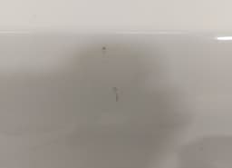 VOLVO CZ9CA Door Rear Left VOLVO V40 (2012-2019) — thumbnail 4