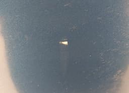 FORD 1693746 Door Rear Left FORD S-MAX I (2006-2014) — thumbnail 2