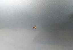 CITROËN Door Rear Left CITROËN C4 Picasso I (UD, UA) (2006-2013) — thumbnail 4