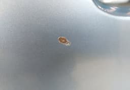 CITROËN Door Rear Left CITROËN C4 Picasso I (UD, UA) (2006-2013) — thumbnail 2