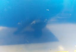 SUBARU Door Front Right SUBARU IMPREZA (GD, GG) (2000-2008) — thumbnail 5