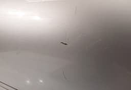 VW Door Front Right VW JETTA III (1K2) (2005-2010) — thumbnail 5