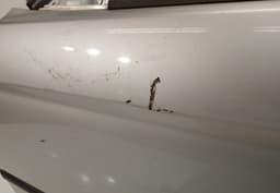 BMW Door Front Left BMW 3 (E46) (1998-2005) — thumbnail 2