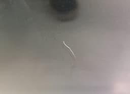 KIA 760031H000 Door Front Left KIA CEE'D I (ED) (2006-2012) — thumbnail 6