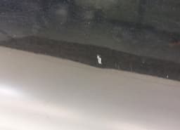 NISSAN H0101-JD0MD H0101JD0MD Door Front Left NISSAN QASHQAI I (J10) (2007-2013) — thumbnail 3