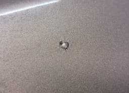 NISSAN H4300EM1MA Bootlid / tailgate NISSAN TIIDA [USA] (2006-) — thumbnail 5