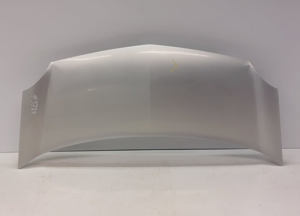 RENAULT 651003220R Bonnet RENAULT KANGOO II (FW, KW) (2008-2021)