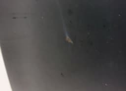 SUBARU 57229SC0019P Bonnet SUBARU FORESTER (SH) (2008-2013) — thumbnail 2