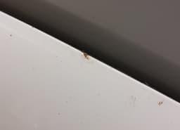HYUNDAI 664002R010 Bonnet HYUNDAI i30 I (FD) (2007-2012) — thumbnail 2
