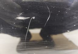 KIA 664001D010 Bonnet KIA CARENS III (UN) (2006-2013) — thumbnail 5