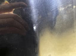 NISSAN Bonnet NISSAN QASHQAI I (J10) (2007-2013) — thumbnail 3
