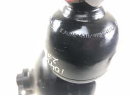 MERCEDES-BENZ A2203270115 A2203270215 A2203200415 Air spring Load Accumulator Front left MERCEDES-BENZ SL-CLASS (R230) (2001-2012) — thumbnail 10