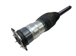 TESLA 600635300D Air shock absorber rear right TESLA MODEL S (5YJS) (2012-) — thumbnail 1
